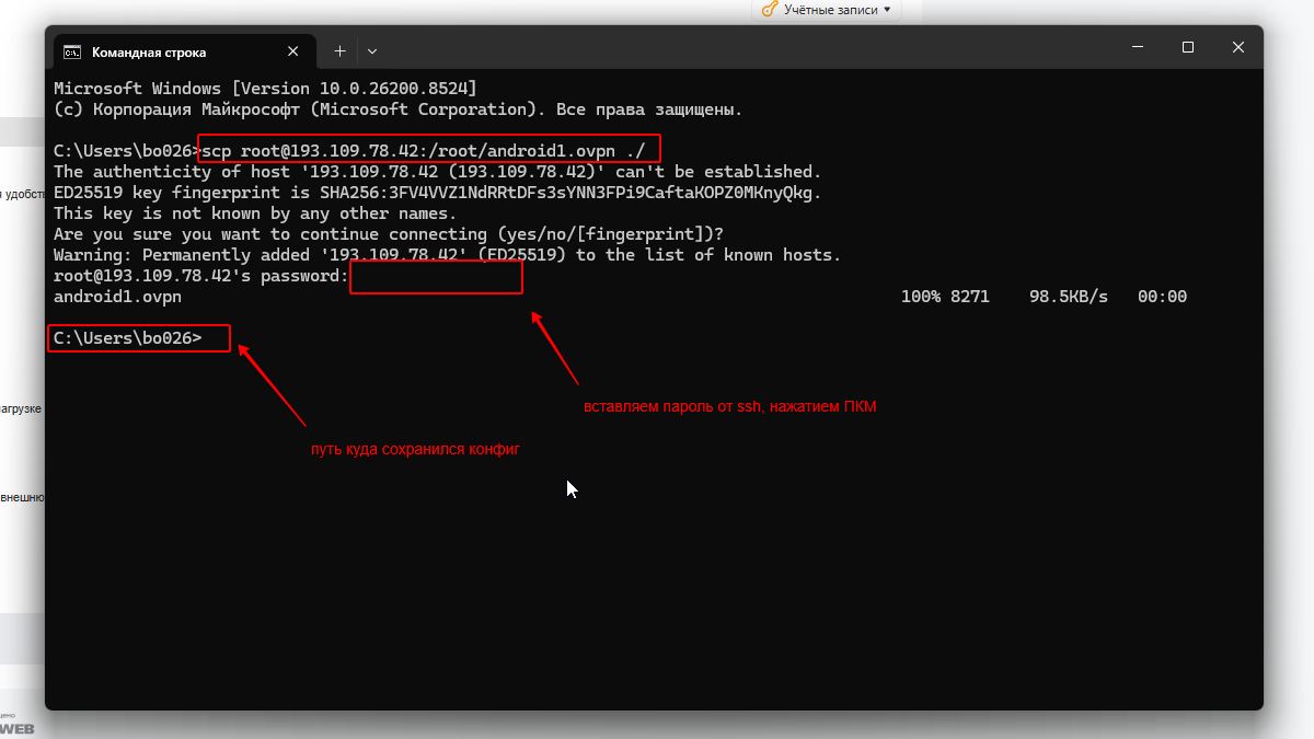 Команда scp для копирования файла ovpn с VPS на Windows через cmd
