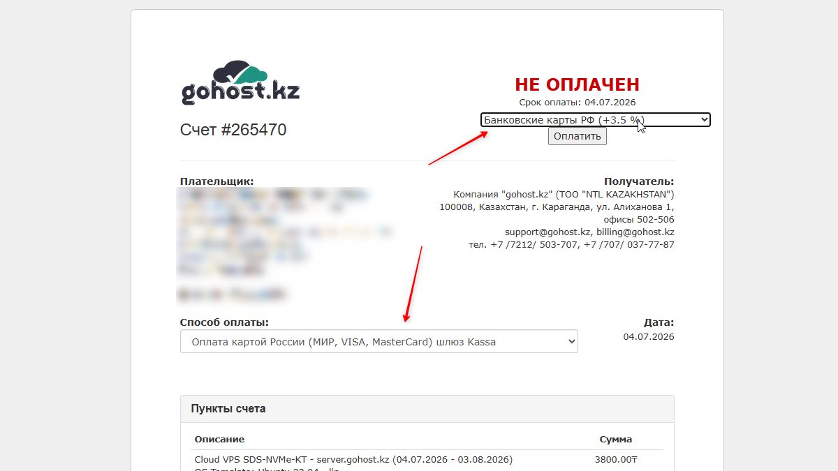 Страница счёта gohost.kz — выбор способа оплаты картой России