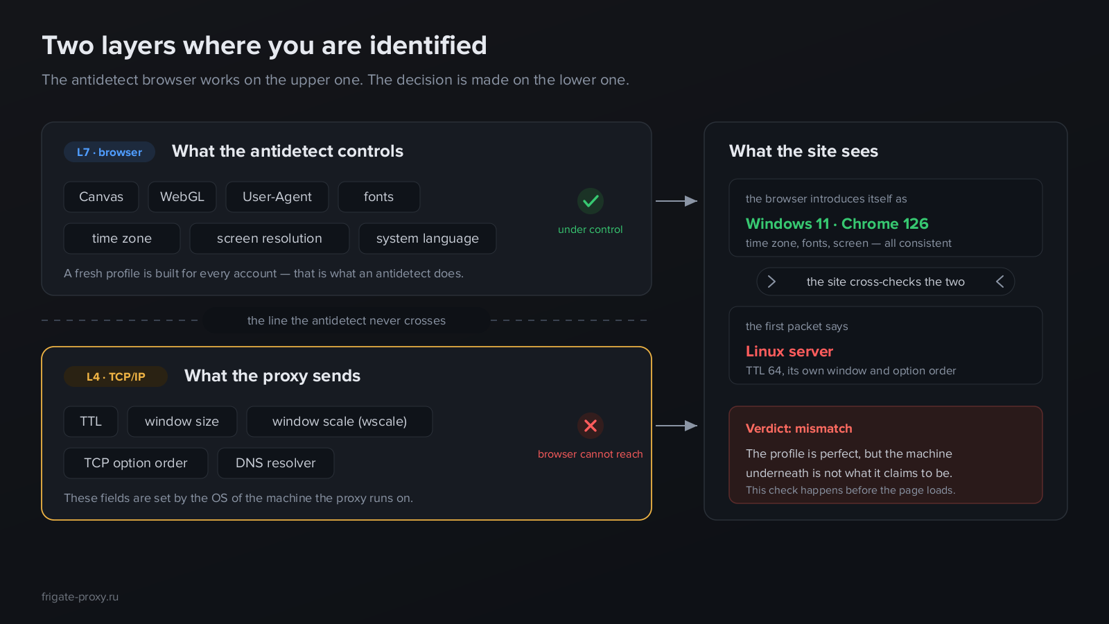 Two layers of identification: the browser controls Canvas and User-Agent, the proxy sends TTL and TCP parameters