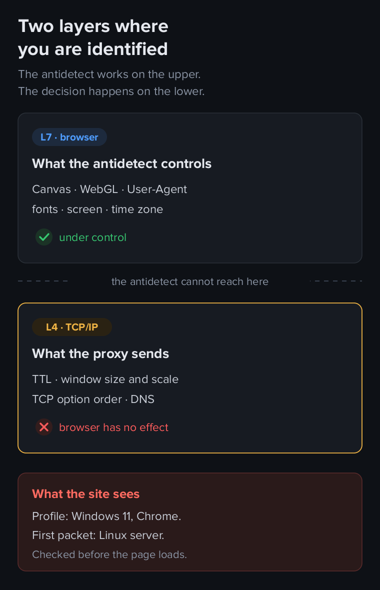 Two layers of identification: the browser controls Canvas and User-Agent, the proxy sends TTL and TCP parameters